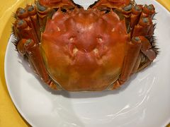 -王宝和酒家(黄浦店)