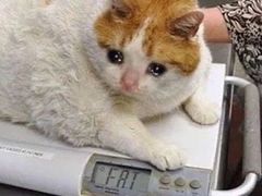 -梁溪河畔·吉府花园(南长街南下塘店)