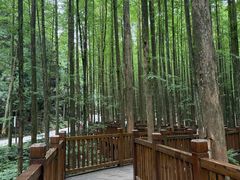 -山王坪喀斯特国家生态公园