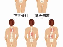 -体博士·疼痛调理·体态矫正·运动康复中心(大望路华贸店)