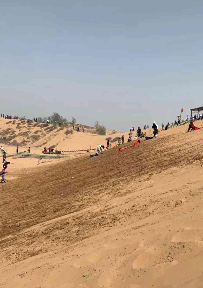 大荔皇家沙苑景区-"就在沙漠公园隔壁,去了感觉公园里没意思,.