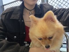 -怪兽屋·羊驼·猫咖·狗咖(俊华广场店)