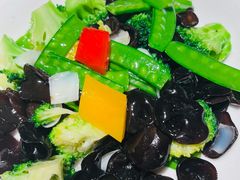 -大树餐厅(益田假日店)