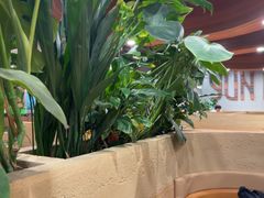 -云海肴·汽锅鸡·云南菜(曲江大悦城店)