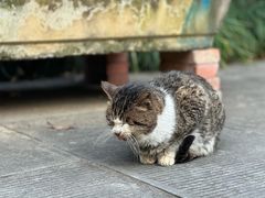 -成都杜甫草堂博物馆