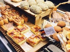 -蒲公英(五里店)