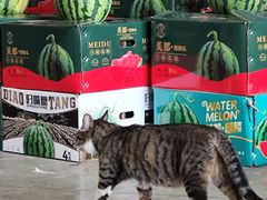 -西郊国际农产品交易中心