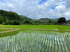 -云水谣景区