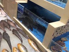 水产区-双井轩(双井店)