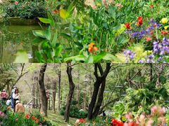 -人民公园(罗湖区)