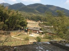景点-宁波浙东大竹海景区