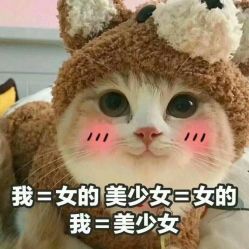 -热发型