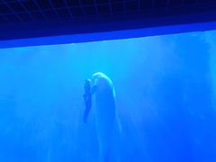 -多彩贵州城极地海洋世界