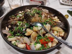 功夫青斑鱼-国惠大酒楼(宝龙店)