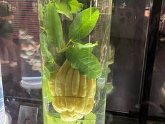 -广东中医药博物馆