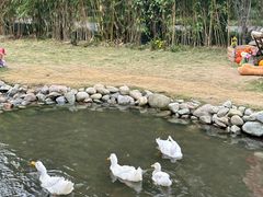 -HERRE·FARM 赫尔露营农场·团建聚会包场