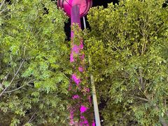 -辽宁电视塔
