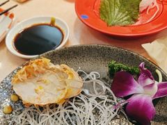 -新一番回转寿司(沙湾公园店)