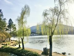 -长广溪湿地公园