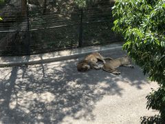 -大连森林动物园