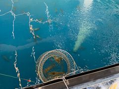 -SHRIMP CLUB万东餐饮钓虾·清吧