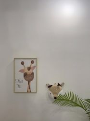 -小阿福儿童摄影(华中智谷店)