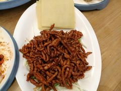 京酱肉丝-陈傻子餐厅(世纪都会店)