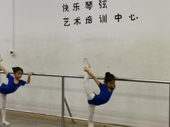 -快乐琴弦音乐舞蹈艺术教育中心(马连道校区)