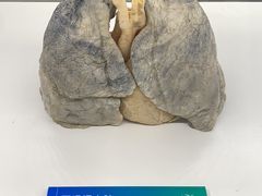 -生命奥秘博物馆