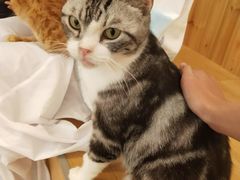 -小小班私人影院·猫咖(万达茂广场店)