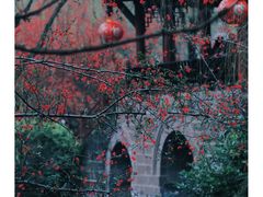 -棠湖公园