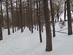 -长春市南湖公园