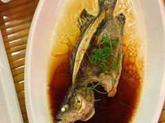 清蒸桂鱼-小竹林农庄