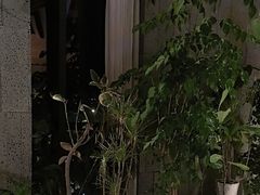-新安人家·22年本地餐厅