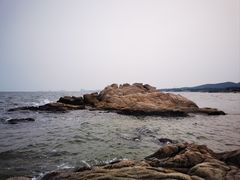 -老虎石海上公园