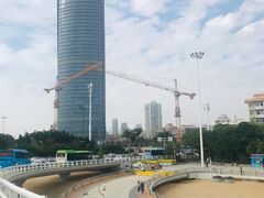 -演武大桥观景平台