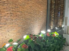 -浅深Cheersum(曹杨店)