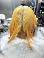 -三原色染发巴黎画染潮色漂色