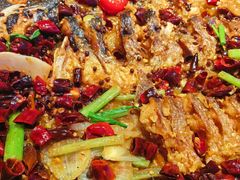 -老板恋上鱼(恒隆广场店)