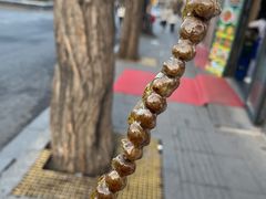 -香山公园
