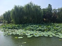 -济南方特东方神画