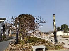 -枫桥景区