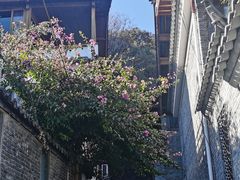 -丽江束河古镇-石莲古寺