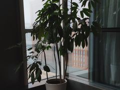 -沐泷泉(南风大剧院店)