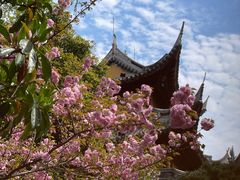 -龙华寺