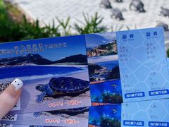 -广东惠东海龟国家级自然保护区