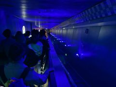 -白鹤梁水下博物馆