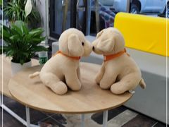 -半岛宠物医院24小时(科华中路店)