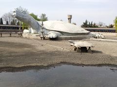 -东方巨龟苑景区