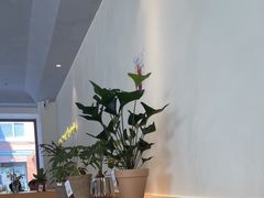 -fishtank鱼缸咖啡(三山街店)